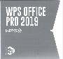 WPS Office 2019 增强版 专业增强版/办公套件